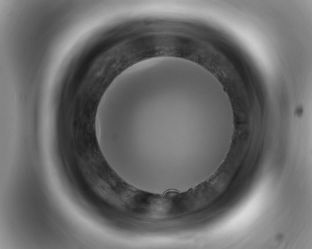 X0000102390143200808151929