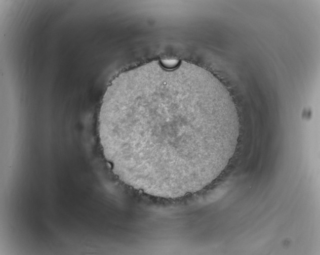 X0000102390144200808151929