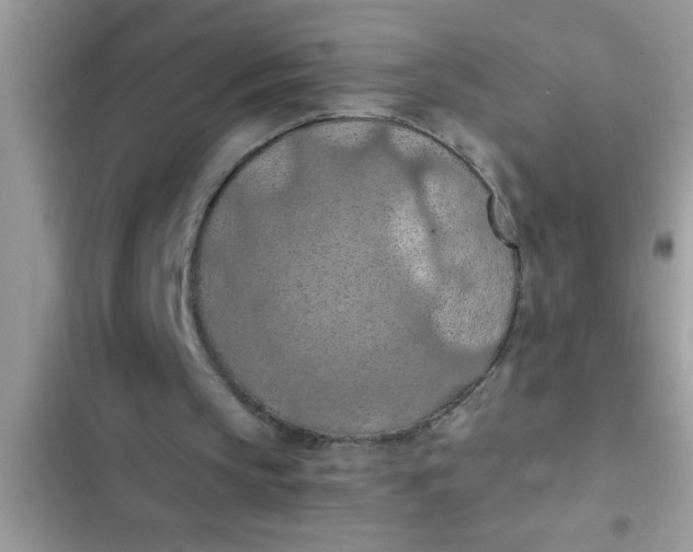 X0000102390145200808151928