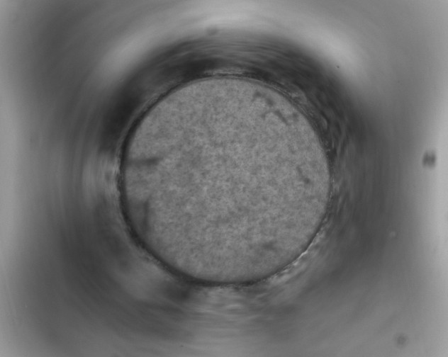 X0000102390146200808151928