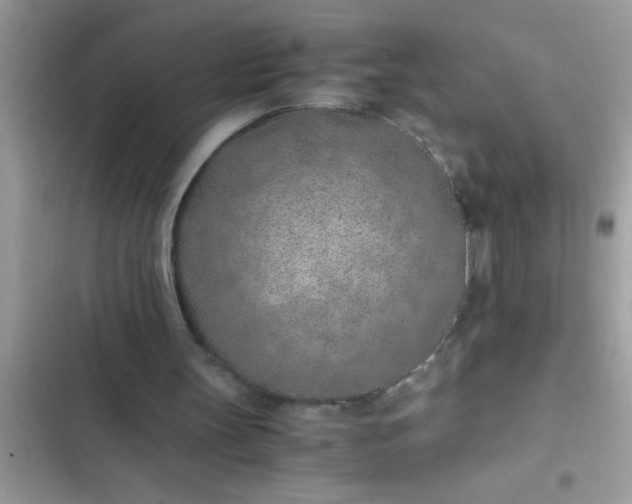 X0000102390147200808151928