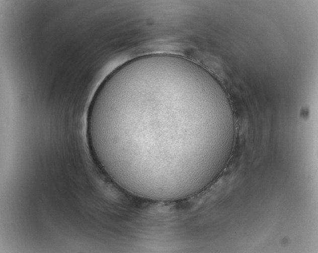 X0000102390148200808151928