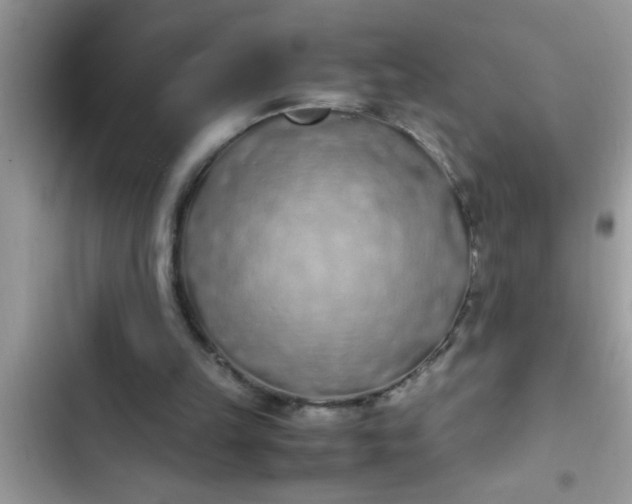 X0000102390149200808151928