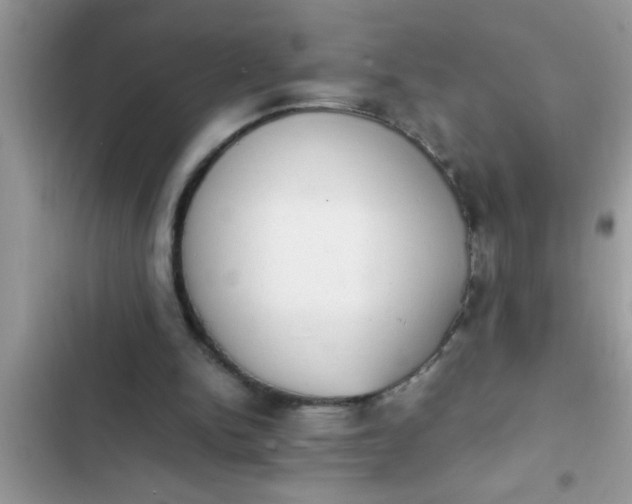 X0000102390150200808151928