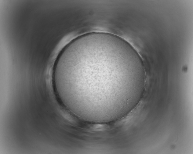 X0000102390151200808151928