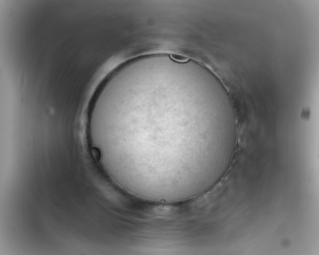 X0000102390152200808151928