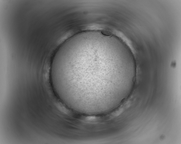 X0000102390153200808151928