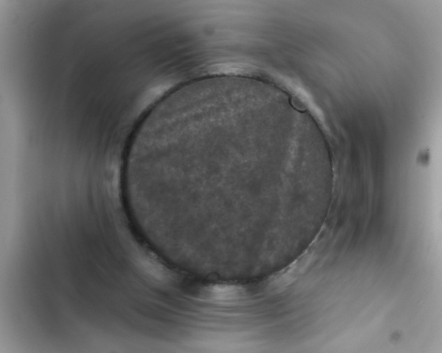 X0000102390154200808151928