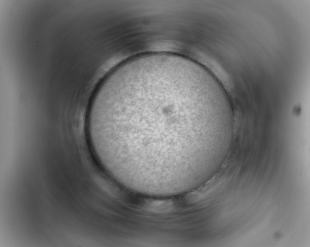 X0000102390155200808151928