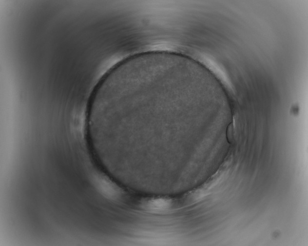 X0000102390156200808151928