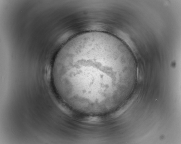 X0000102390157200808151929