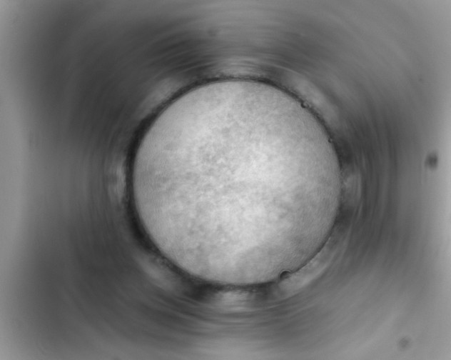 X0000102390158200808151929