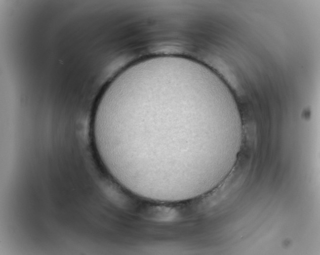 X0000102390159200808151929