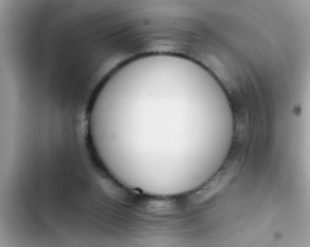 X0000102390160200808151929