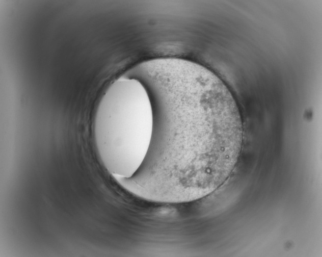 X0000102390162200808151929