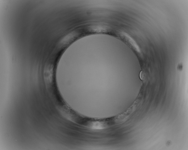 X0000102390163200808151929