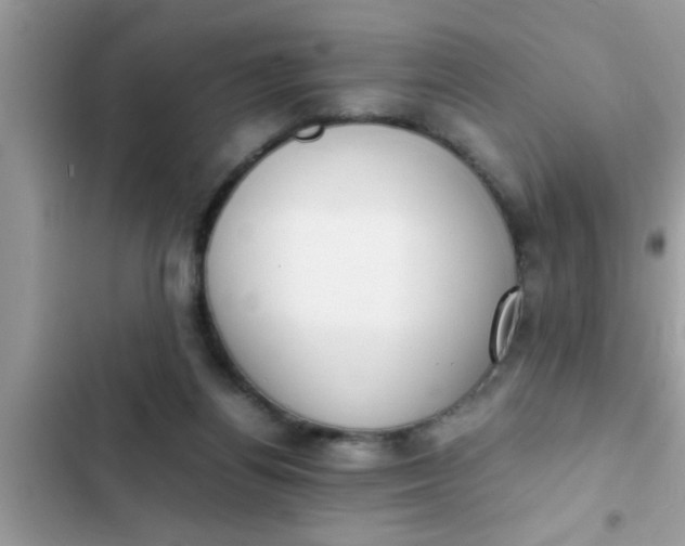 X0000102390164200808151929