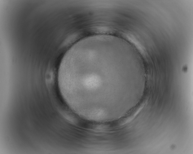 X0000102390165200808151929