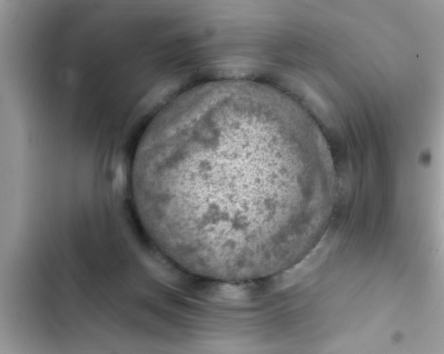 X0000102390166200808151929