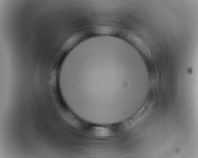 X0000102390167200808151929