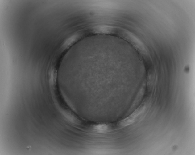 X0000102390168200808151929