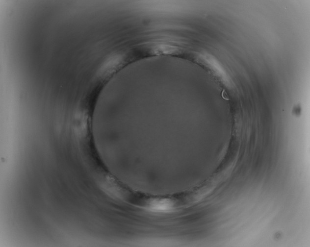 X0000102390169200808151929