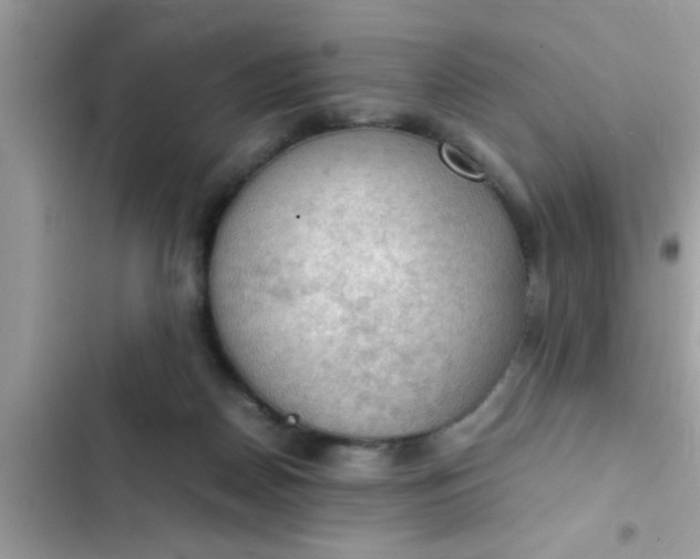 X0000102390170200808151929