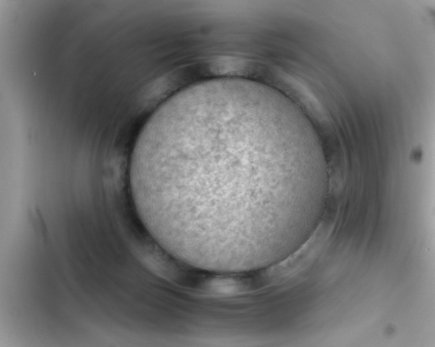 X0000102390171200808151929