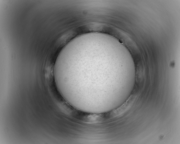 X0000102390172200808151929