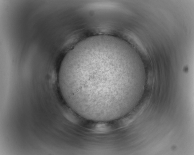 X0000102390173200808151929