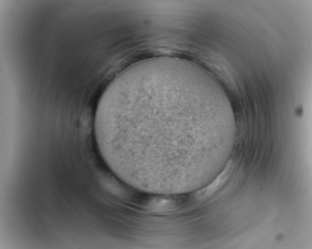 X0000102390174200808151929