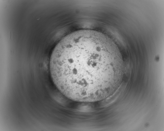 X0000102390175200808151929