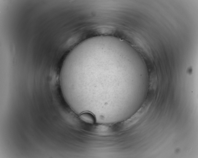 X0000102390176200808151929