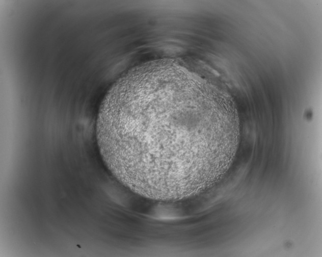 X0000102390177200808151929