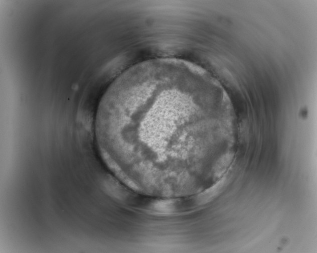 X0000102390178200808151929