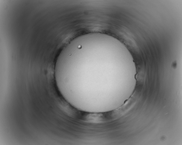 X0000102390179200808151929