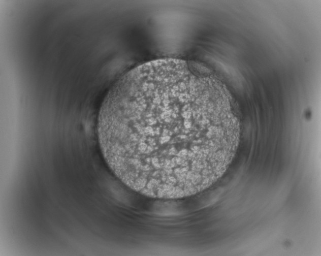 X0000102390181200808151929