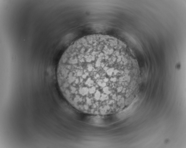 X0000102390182200808151929