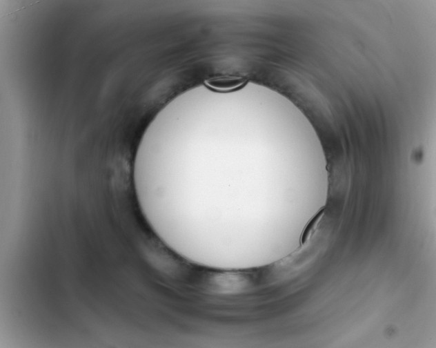 X0000102390183200808151929