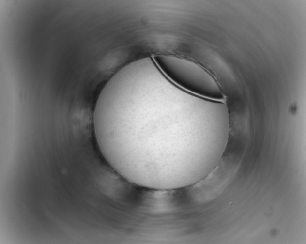 X0000102390184200808151929