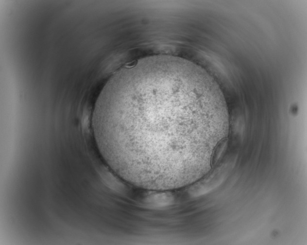 X0000102390185200808151929