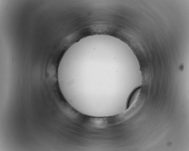 X0000102390187200808151929