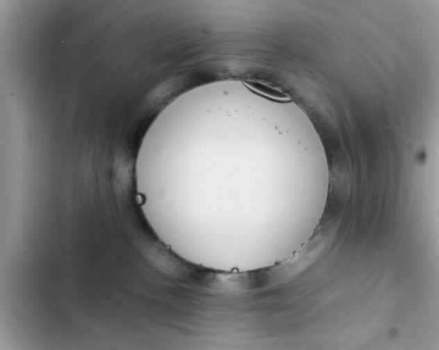 X0000102390188200808151929