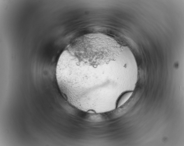 X0000102390189200808151929