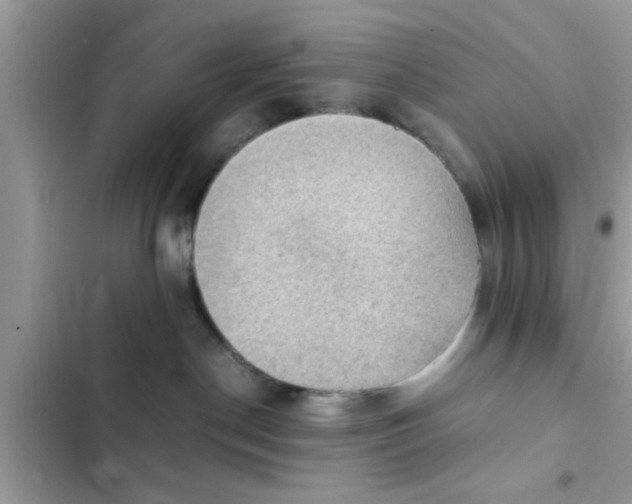 X0000102390190200808151929