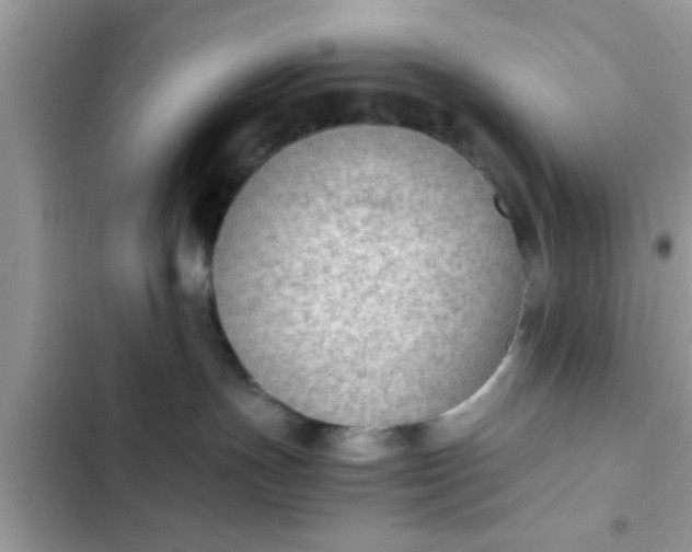 X0000102390191200808151929