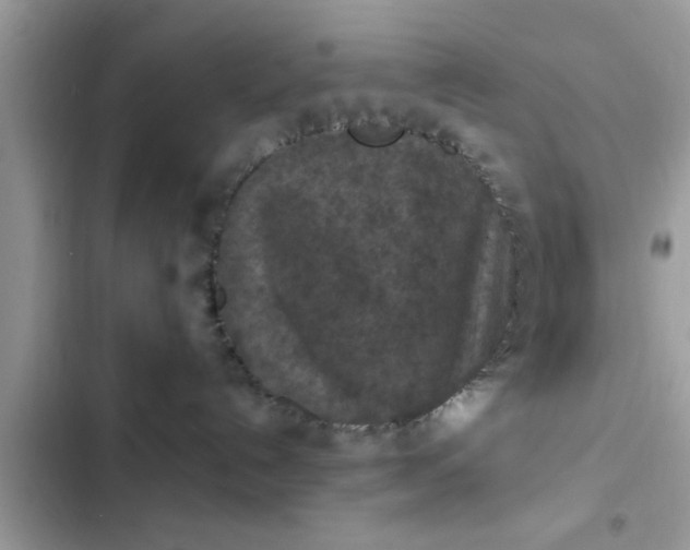 X0000102390192200808151929