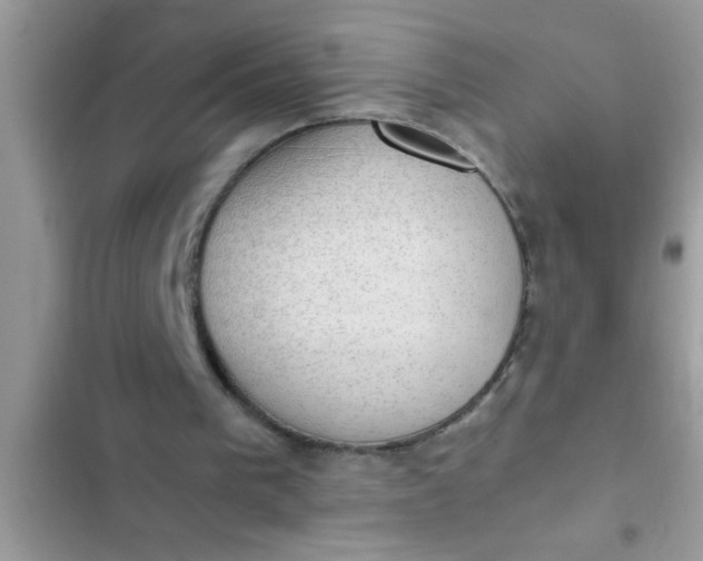 X0000102390193200808151928