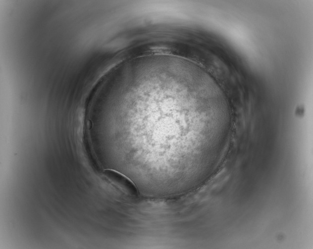 X0000102390194200808151928