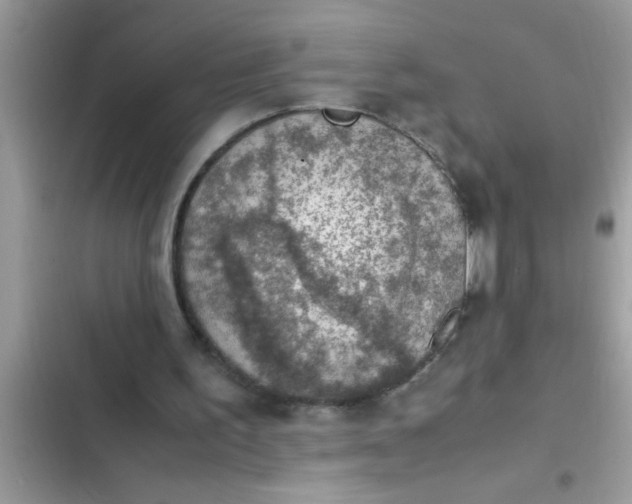 X0000102390195200808151928